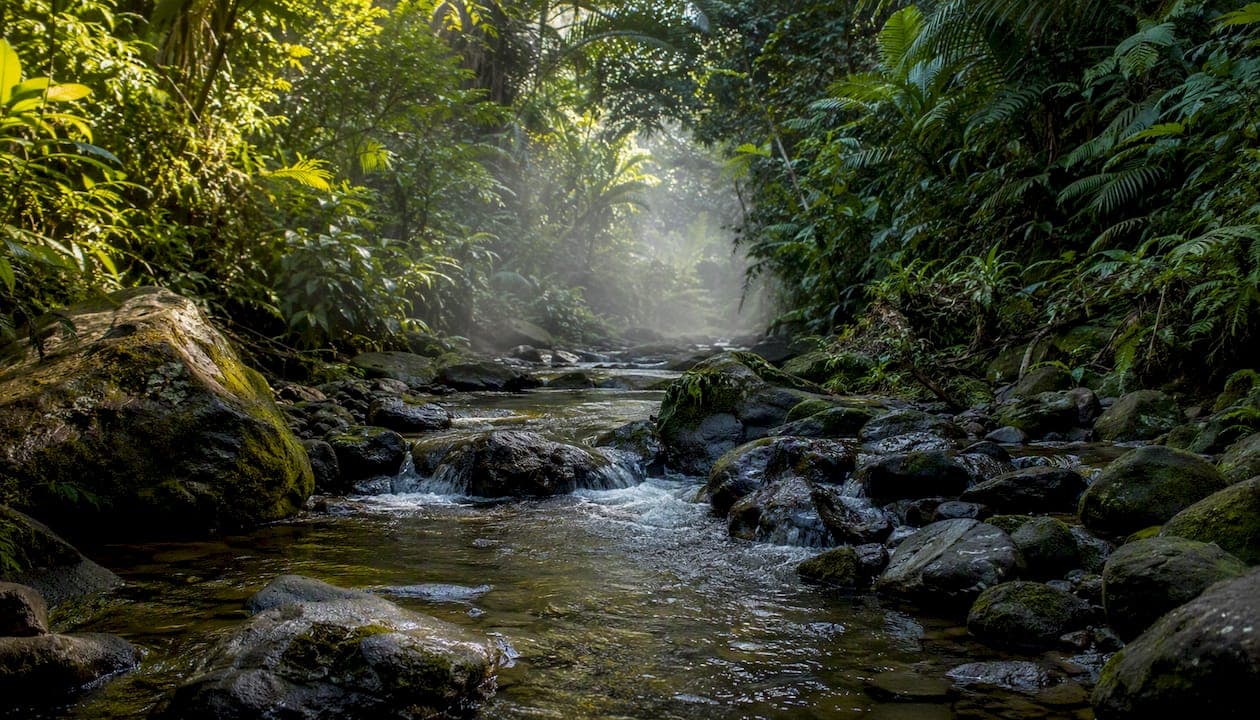 Why Hawaii Promotes Deep Relaxation in Body and Mind