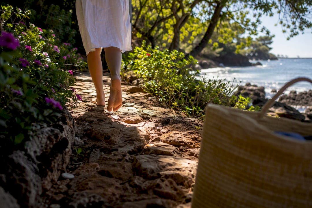 Six Types of Nature Immersion Wellness Practices to Try
