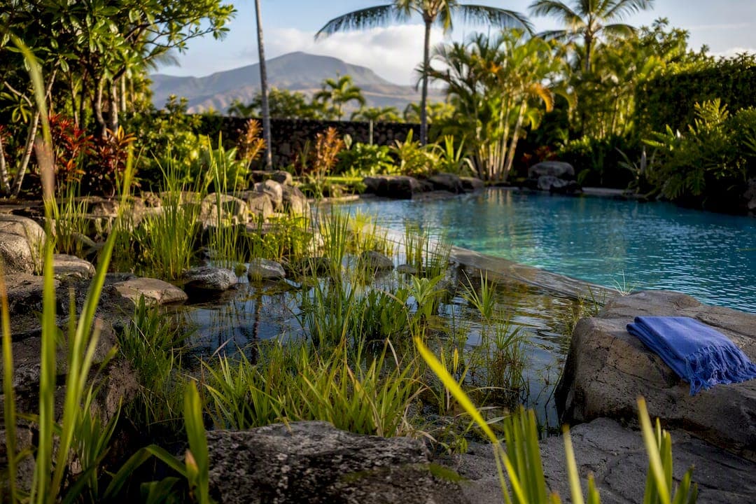 U.S. Homeowners: Is a Natural Swimming Pool Worth a 30–70% Plant Zone?
