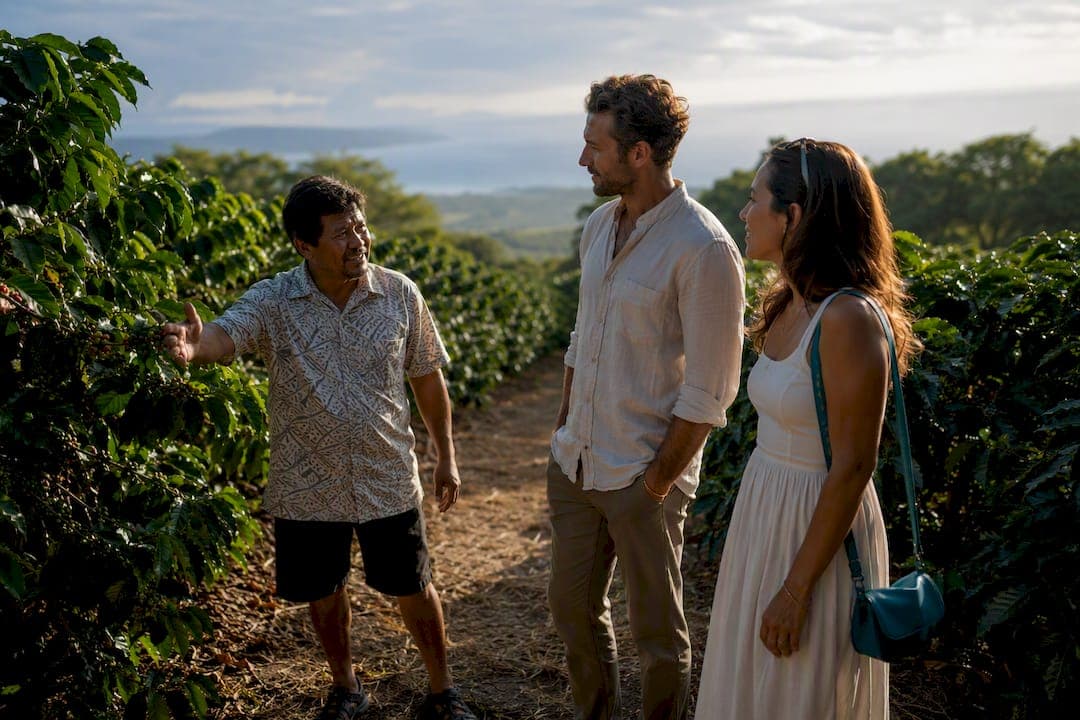 Pro Tasting & Host Tips on the Big Island: Visit 2–3 Kona Coffee Farms